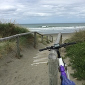 User avatar for Raelyn Johnston