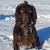 User avatar for Kirsty Archbold