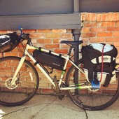 User avatar for Bonnie Ward