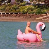 User avatar for Peter Dixon