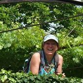 User avatar for Greet De Smet