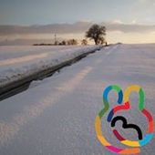 User avatar for Veerle Dickx