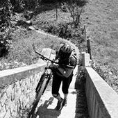 User avatar for Ana Pires