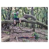 User avatar for Alex Painting