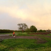 User avatar for Lauren Carpenter