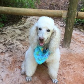 User avatar for Alan Bitterman