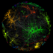 User avatar for Rihab Gam