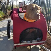 User avatar for Amelia  James