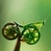 Small user avatar