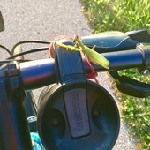 User avatar for Kevin Bull