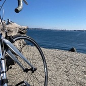 User avatar for Wendy I.