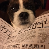 User avatar for Jennifer Reid-Schram