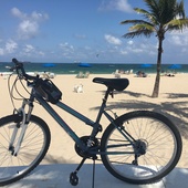 User avatar for Vickie Dale