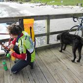 User avatar for Corrina Lorenz