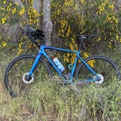 User avatar for Al Masterson