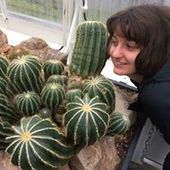 User avatar for Ash Cab