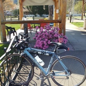 User avatar for Darlene Morford