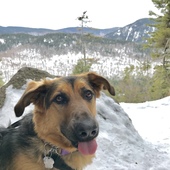 User avatar for Charles Rochefort