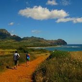 User avatar for Kristi Sullivan