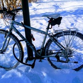 User avatar for David Arias