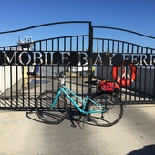 User avatar for Rebecca Shivvers