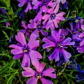 User avatar for Maria Lambert