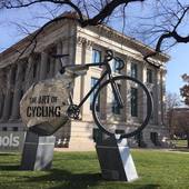 User avatar for Donna Capelle Cook