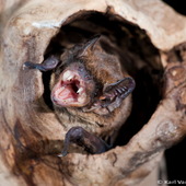 User avatar for Jake White