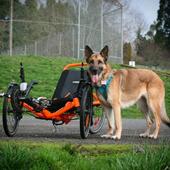 User avatar for Taylor Townsend