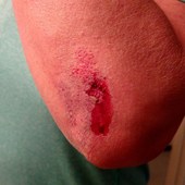 User avatar for Joell Nylund