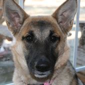 User avatar for Deb  Vinson