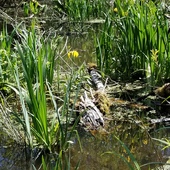 User avatar for Melinda Cumming