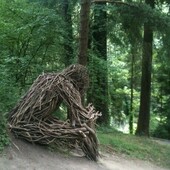 User avatar for Ethan Culler Mayeno