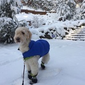 User avatar for Bill Tang