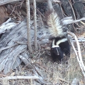 User avatar for Daniel Pooler