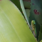 User avatar for Scott Johnson