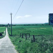 User avatar for Dena Lara