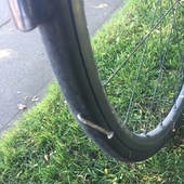 User avatar for Christian Cutul