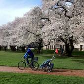 User avatar for Felix Brändli