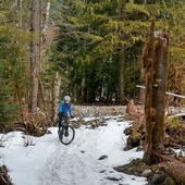 User avatar for Jalissa Akehurst