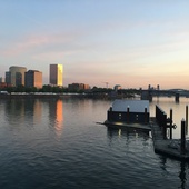 User avatar for Jan Hinton