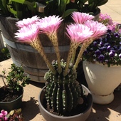 User avatar for Rebecca Haight