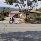 User avatar for Amir Shahheydari