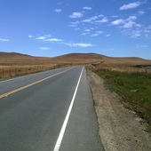 User avatar for Randy Walls