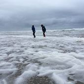 User avatar for Anna Halpin