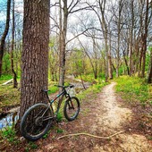 User avatar for Jenny Tant