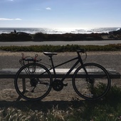 User avatar for Anna Simmons