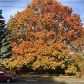 User avatar for Darren Morgan