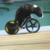 User avatar for John Conlan