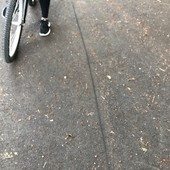 User avatar for Amy Baker